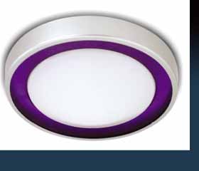 1001-22W/淡蘭色/橙色/紫色/粉紅色