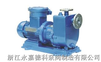 ZCQ型自吸式磁力驅(qū)動(dòng)泵