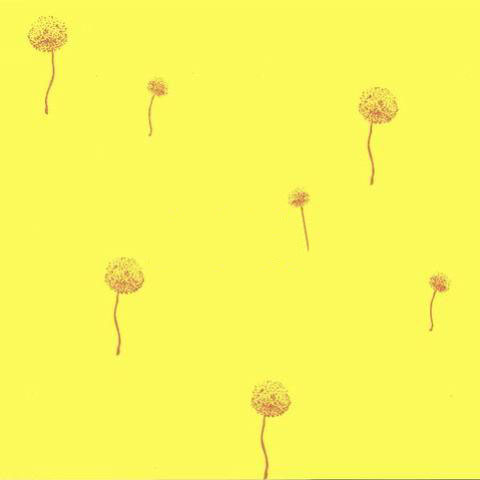 幻彩絲質壁紙漆