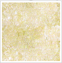 霞云嶺鄉(xiāng)紅白