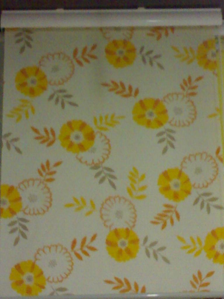 电动布帘，电动升降窗帘，电动天棚帘