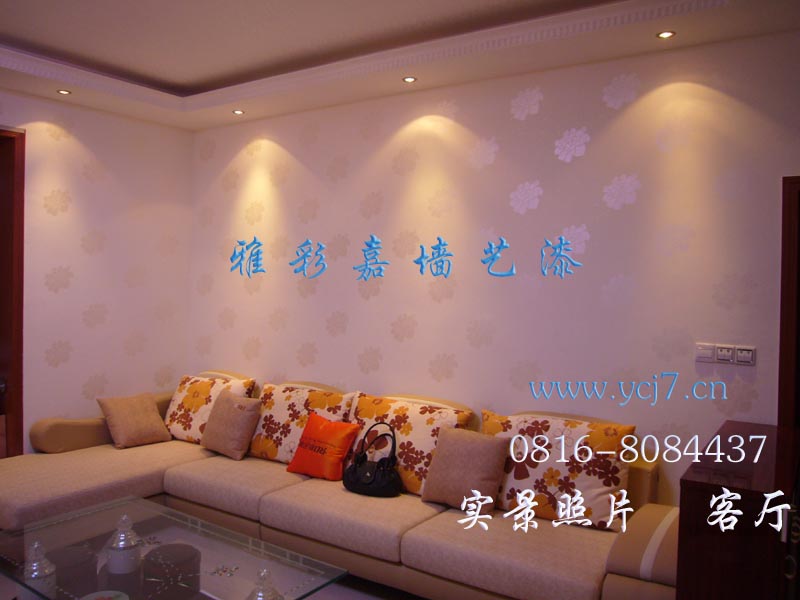 創業加盟雅彩嘉墻藝漆 水性漆