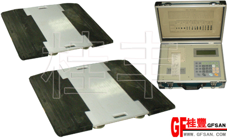 便攜式稱重儀、桂豐三安、汽車檢測專用儀器