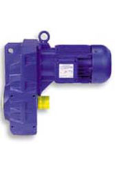 主軸安裝式齒輪電動(dòng)機(jī) - BF 系列