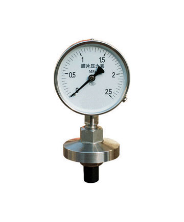 供應膜片壓力表YPF-100A