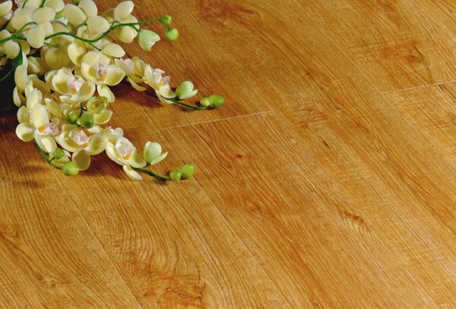 圣羅娜大河之舞系列—VM6005