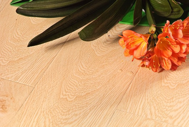 圣羅娜大河之舞系列—A6029