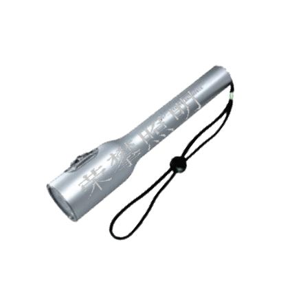 TZ1000 防爆調光手電筒 SJW7210