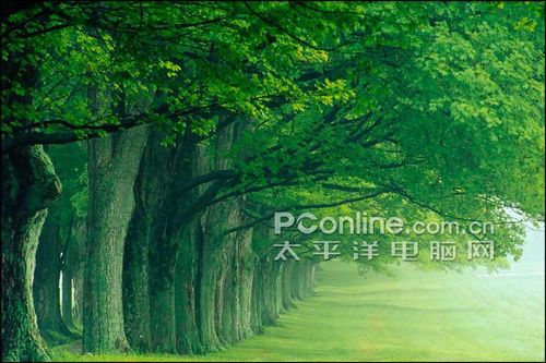 沈陽儲(chǔ)盛地坪材料有限公司