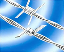 刺繩，鐵刺絲，刺網，護欄網，防護網