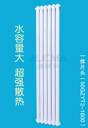 一體片頭50GZYT2-1800散熱器