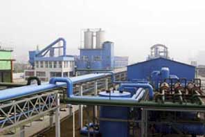 包裝箱用膠合板