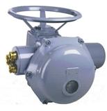 法國伯納德電動執行器