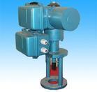 法國伯納德BERNARD電動執行器