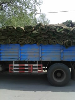 供應，遼寧，沈陽，大連，丹東，撫順，遼陽等城市，草