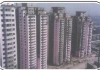 供應外墻彈性拉毛涂料