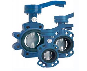 【德國進口蝶閥】—RBT品牌閥門