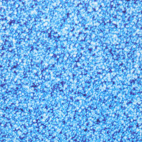 加盟捷捷高，事業(yè)節(jié)節(jié)高，生活節(jié)節(jié)高，人生節(jié)節(jié)高！