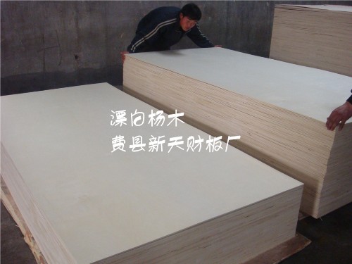 供應花紋楊木、楊木原色、漂白楊木膠合板