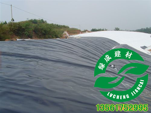沈陽(yáng)HDPE土工膜