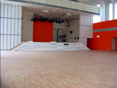 舞臺用舞蹈地膠，專業舞蹈地膠，臺灣進口舞蹈地膠，舞