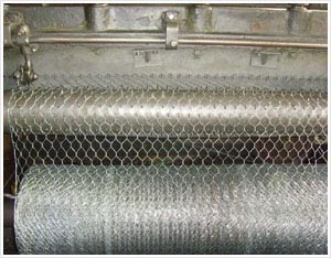 供應六角網，不銹鋼六角網，鍍鋅六角網