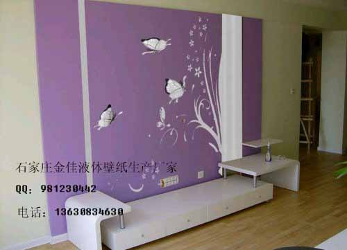 石家莊金佳液體壁紙 實力創致富熱點