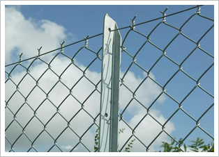 勾花網 安平勾花網 經緯網 河北經緯網 鋼絲經緯網