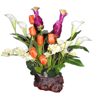 健康神除醛離子儀--誠招加盟