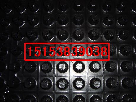 長期供應樓頂綠化所需排水板、蓄水板