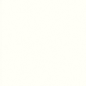 美爾凱特椰果白