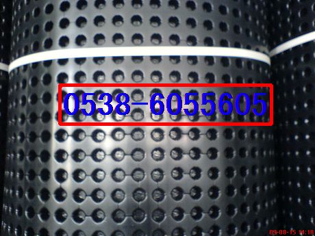 供應(yīng)聚乙烯排水板，HDPE排水板廠家