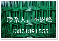 提供/鋼絲網/低碳鋼絲網浸塑/浸塑電焊網