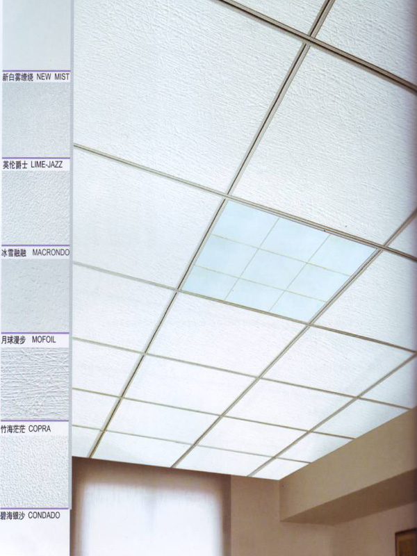 飾面天花系統