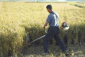 多功能小麥收割機廠 便捷式小型收割機