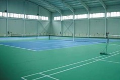 運(yùn)動(dòng)木地板