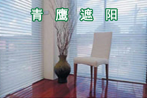 沈陽青鷹遮陽技術發展有限公司