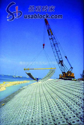 鉸接式生態(tài)護(hù)坡