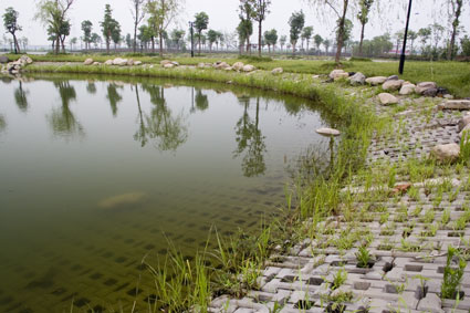 聯鎖式生態護坡