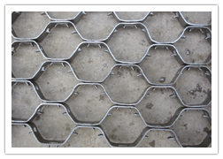 龜甲網 安平龜甲網 不銹鋼龜甲網