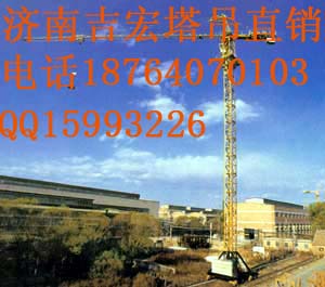 廠家直銷QTZ315 40,50,63,80塔機(jī)