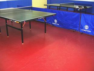 運動復(fù)合地板 武漢pvc運動地板 湖北塑膠運動地板