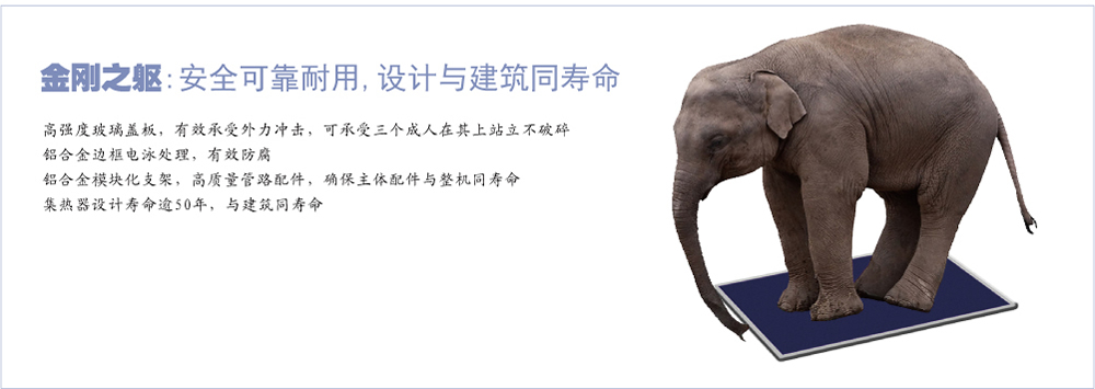 陽臺壁掛太陽能集熱器背板式