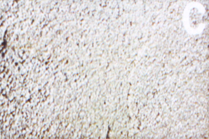 AX-800復(fù)合硅質(zhì)保溫材料外墻施工流程