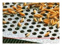 廠家供應糧庫通風透氣網，糧食=篩分濾網