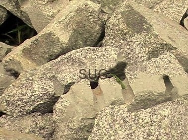 誠招晉中無聲破碎劑代理與批發