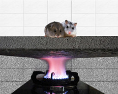 水泥發泡保溫板