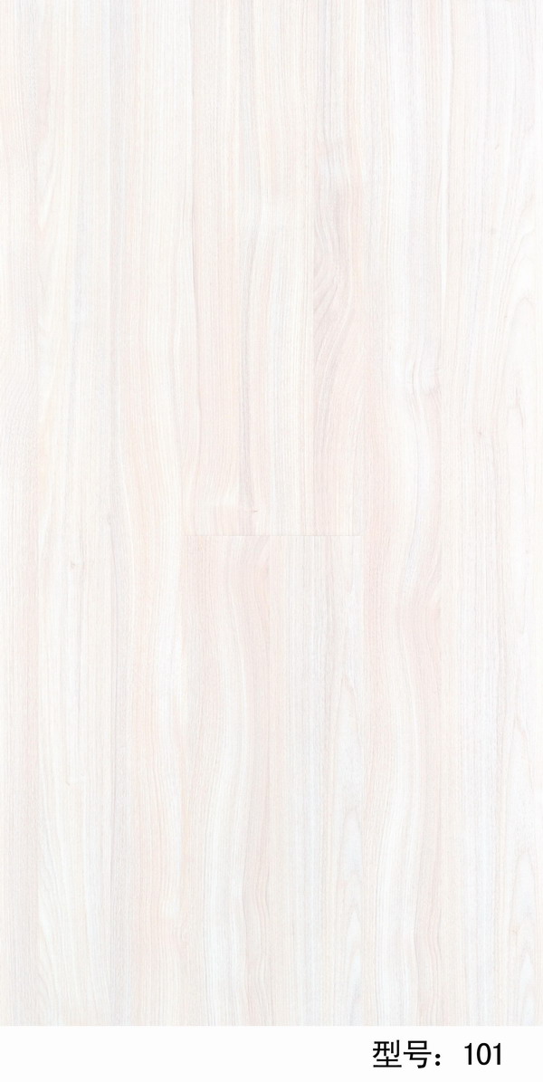 圣高安居系列G101