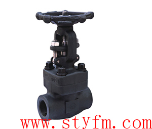 溫州供應鍛鋼閥門，鍛鋼承插焊閘閥Z61H-800L