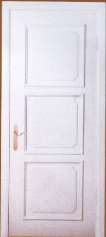 沈陽創展木門55